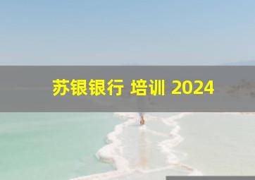 苏银银行 培训 2024